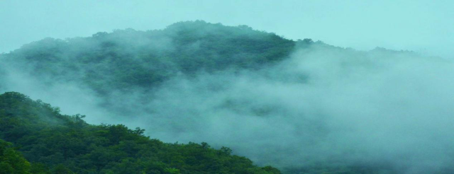 冬游苍龙山